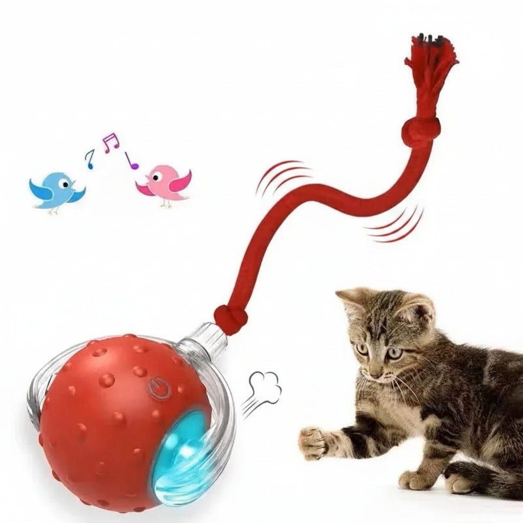 Automatic Interactive Cat Ball - USB Rechargeable