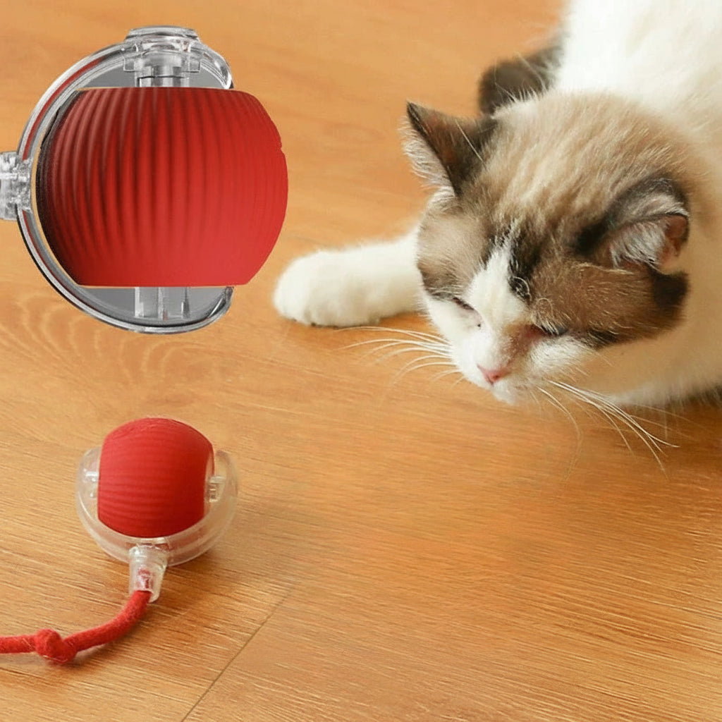 Automatic Interactive Cat Ball - USB Rechargeable