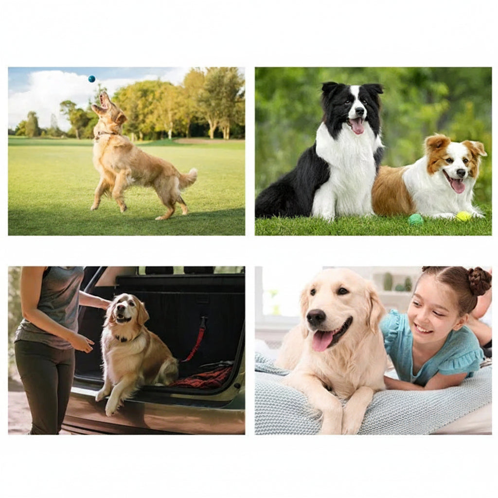Doigtier brosse a dents jetable pour chien et chat - Hygiene bucco-dentaire